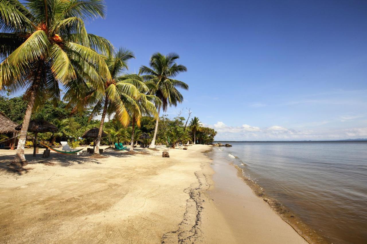 Villa Caribe Livingston Bagian luar foto